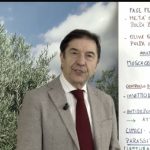 Aipo: le news della settimana – VIDEO